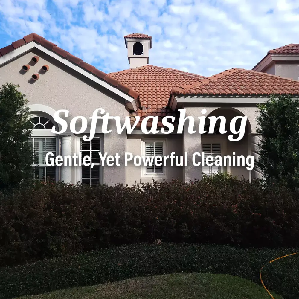 Soft washing